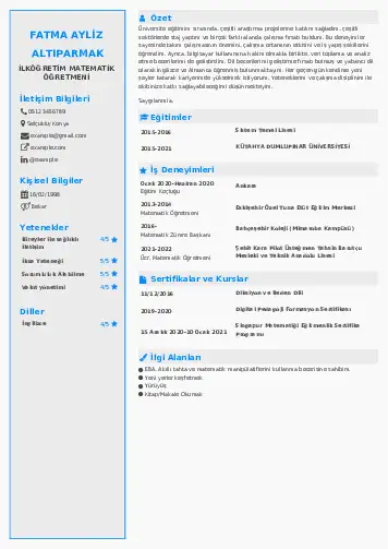 Matematik Öğretmeni Cv Örnekleri cv indir